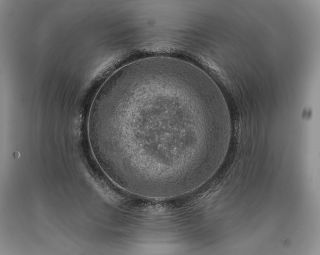 X0000090440735200707201252