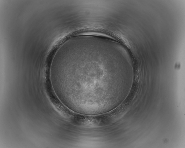 X0000090440736200707201252