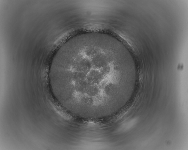 X0000090440737200707201252