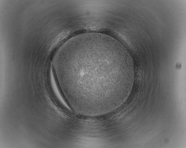 X0000090440738200707201252