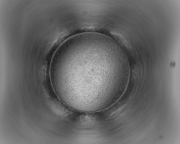 X0000090440739200707201252