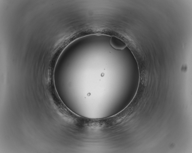 X0000090440740200707201252