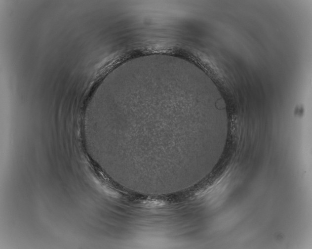 X0000090440741200707201252