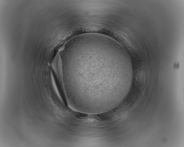 X0000090440743200707201252