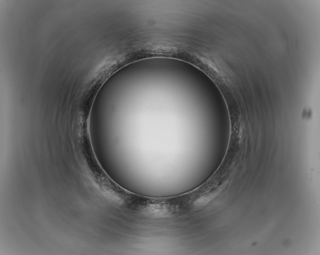 X0000090440744200707201252