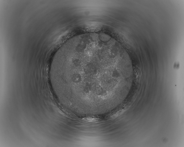 X0000090440745200707201252