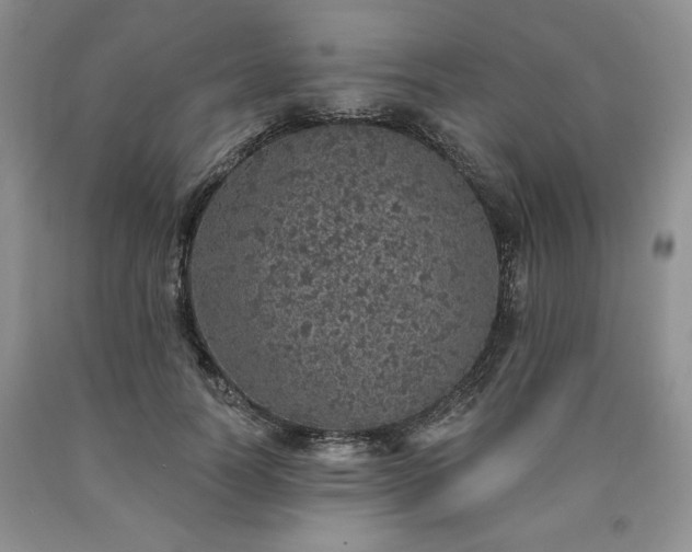 X0000090440746200707201252