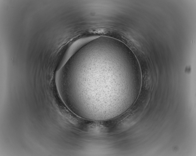 X0000090440747200707201252