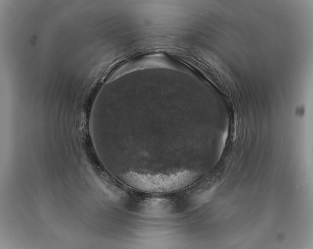 X0000090440748200707201252