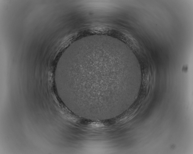 X0000090440749200707201252