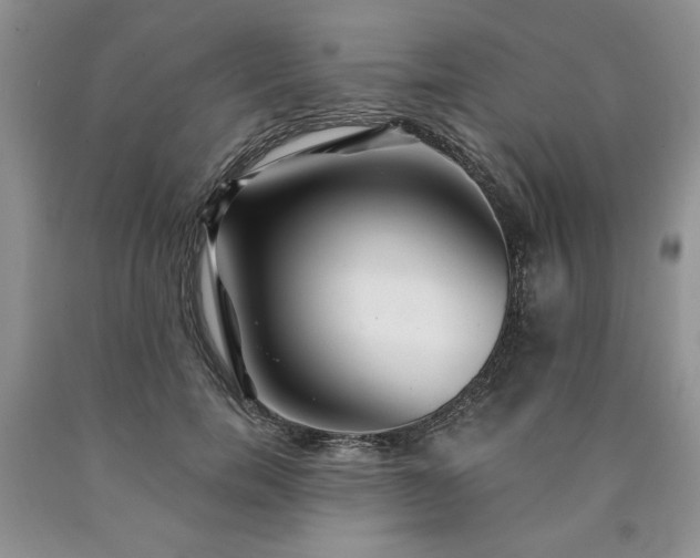 X0000090440750200707201252