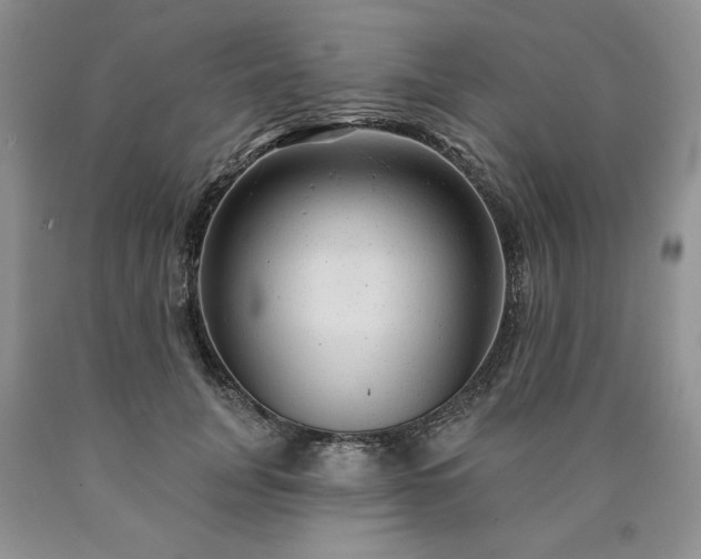 X0000090440751200707201252