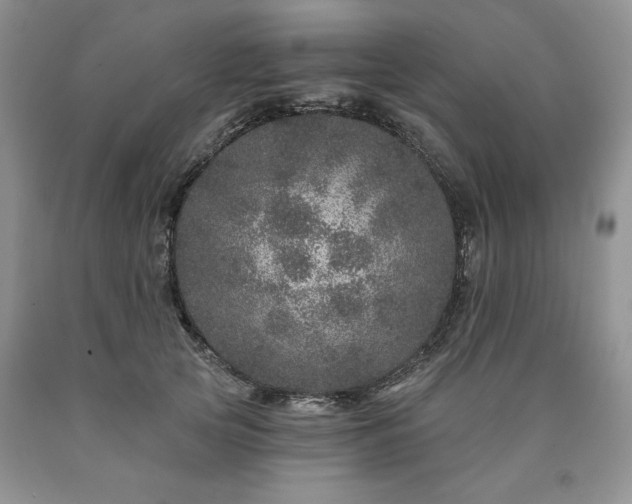 X0000090440753200707201253