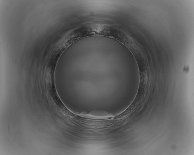 X0000090440754200707201253