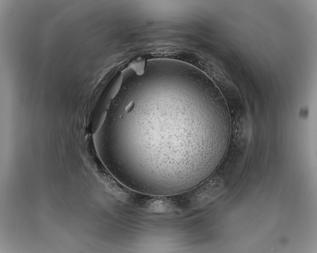 X0000090440755200707201253