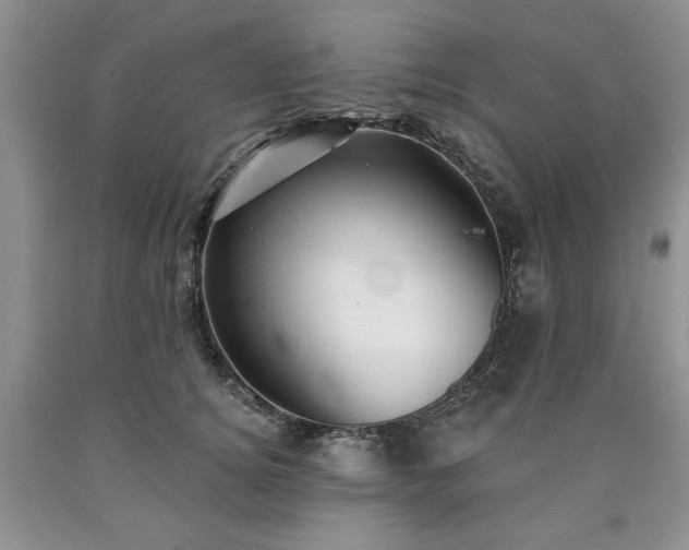 X0000090440756200707201253