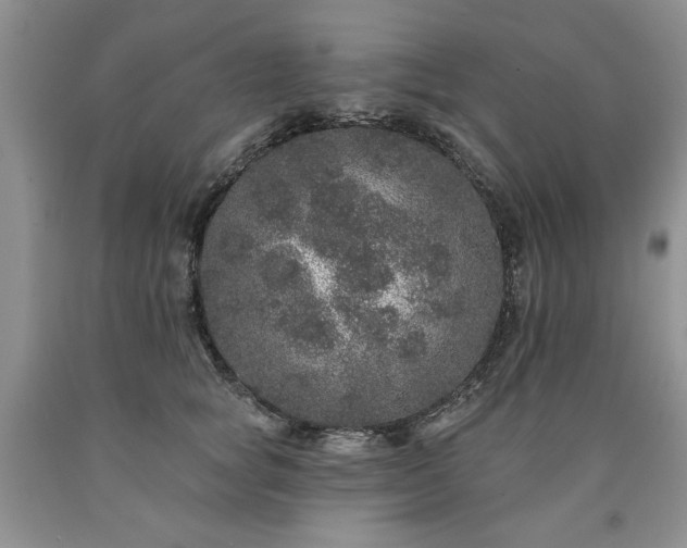 X0000090440757200707201253