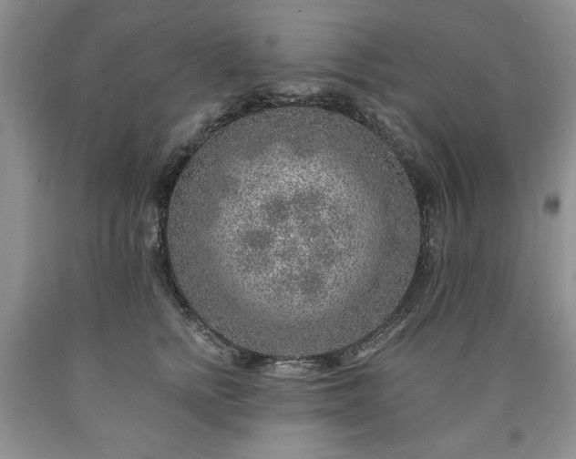 X0000090440758200707201253