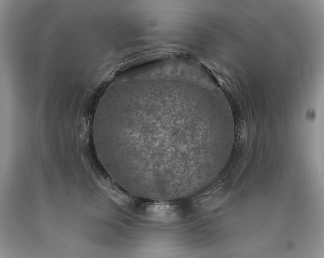 X0000090440759200707201253