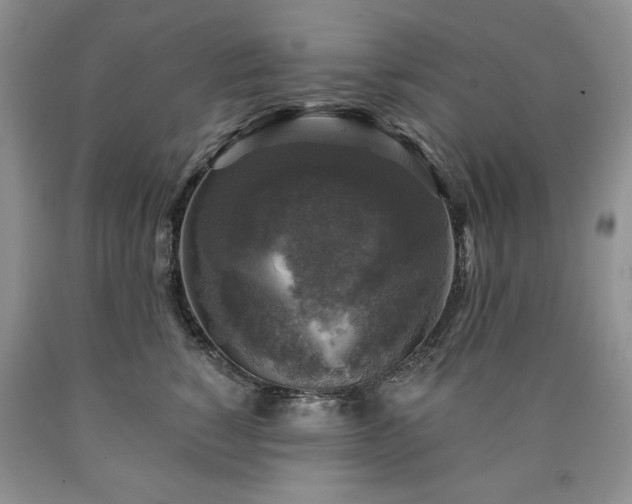 X0000090440760200707201253