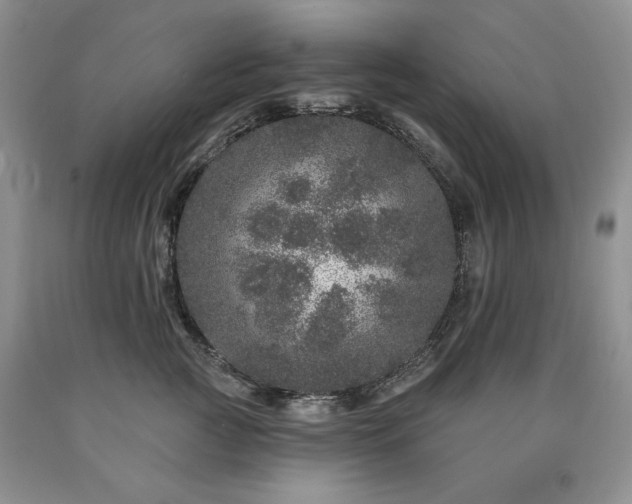 X0000090440761200707201253