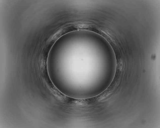 X0000090440763200707201253