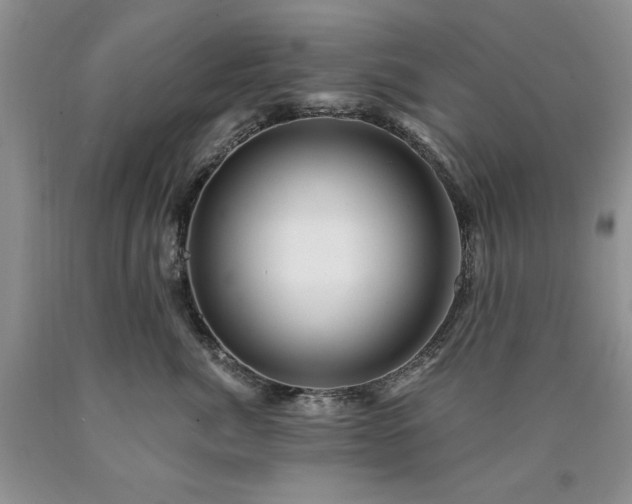 X0000090440764200707201253