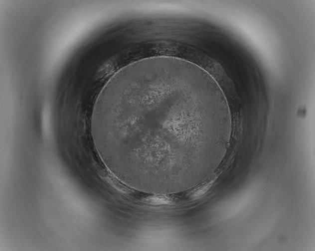 X0000090440765200707201253