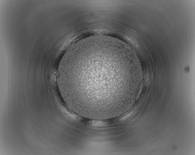 X0000090440766200707201253