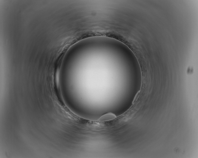 X0000090440768200707201253