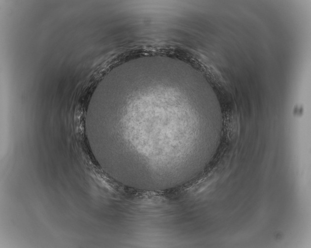 X0000090440770200707201252