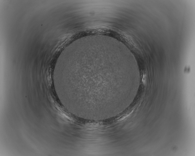 X0000090440771200707201252