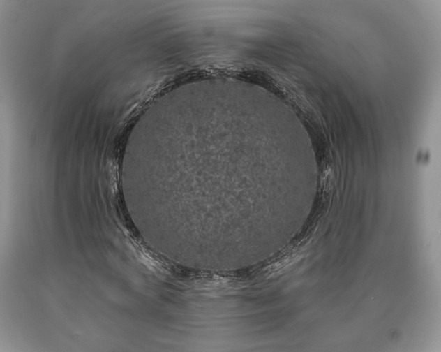 X0000090440772200707201252