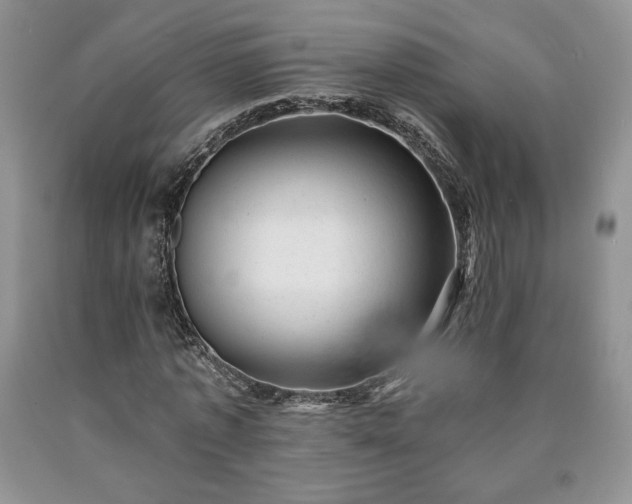 X0000090440773200707201252