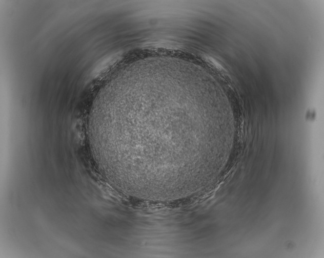 X0000090440774200707201252