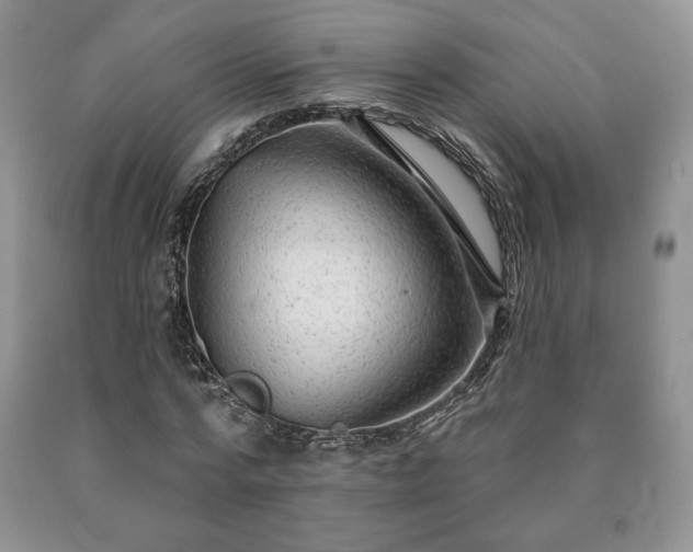 X0000090440776200707201252