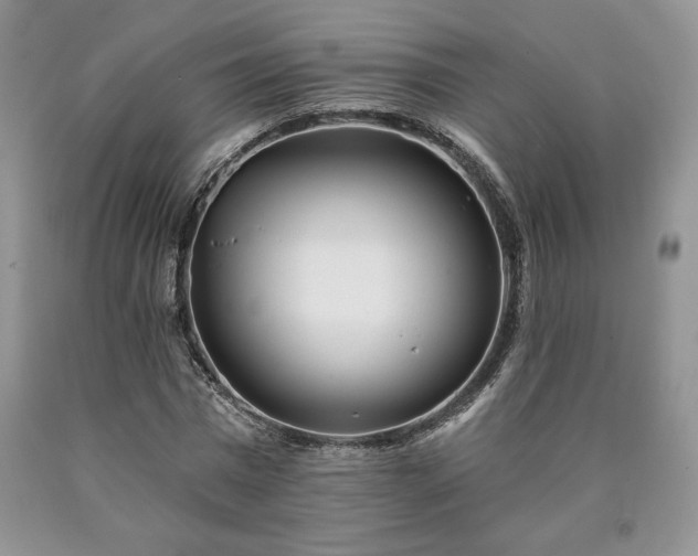 X0000090440777200707201252