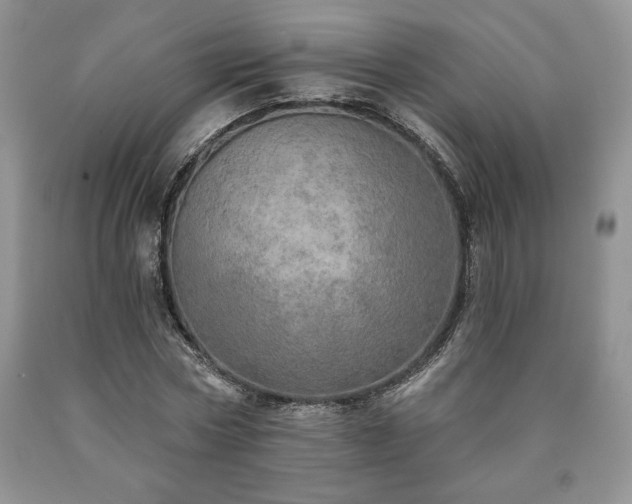 X0000090440778200707201252