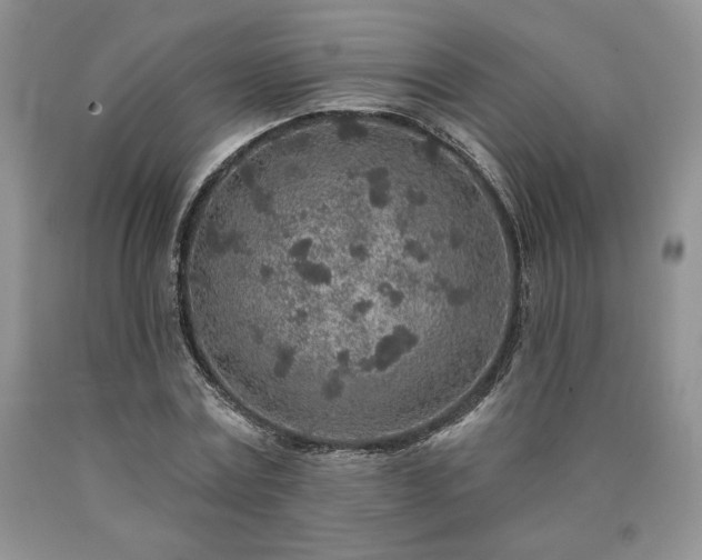 X0000090440779200707201252