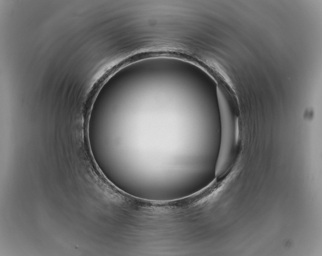 X0000090440781200707201252