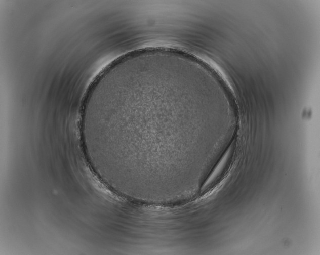 X0000090440783200707201252