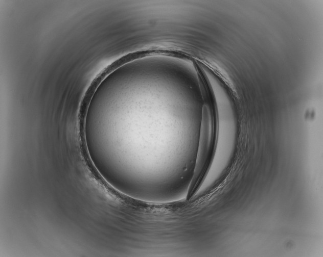 X0000090440784200707201252