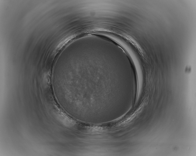 X0000090440785200707201252