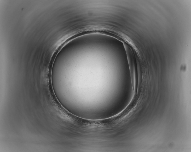 X0000090440786200707201252