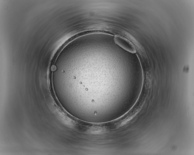 X0000090440788200707201252