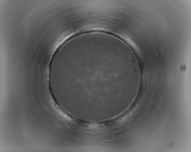 X0000090440790200707201252