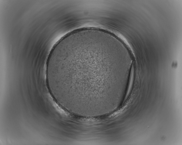 X0000090440791200707201252