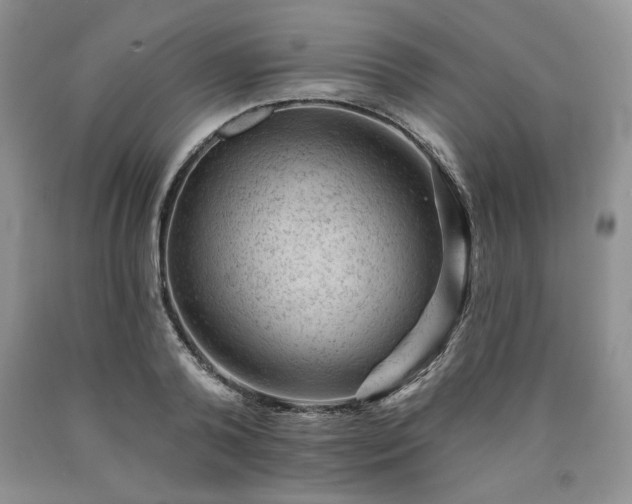 X0000090440792200707201252