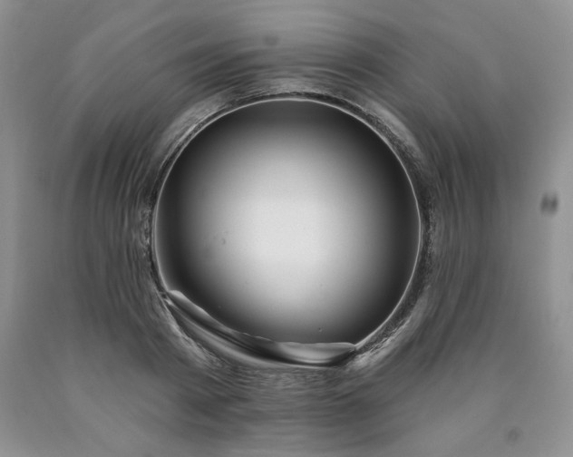 X0000090440793200707201252