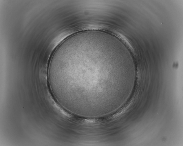 X0000090440794200707201252